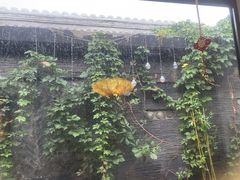 -庭院·冰煮羊·北京涮肉(西单店)