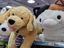 -TOYSRUS玩具反斗城(步步高梅溪新天地店)