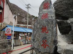 -大岭沟猕猴桃谷风景区