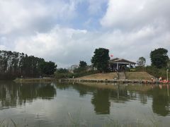 -鹤山碧桂园凤凰酒店