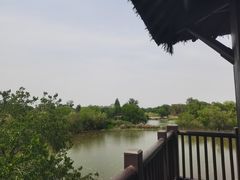 -长兴太湖图影湿地文化园