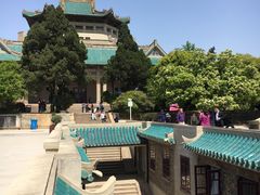 -武汉大学-樱园