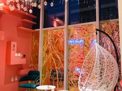 -藏猫猫咖啡主题馆(中央大道店)