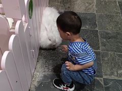 -太阳岛度假酒店