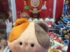 -LLJ夹机占(正佳广场店)