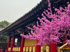 -西安市广仁寺
