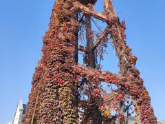 -青岛锅贴(四流中路店)