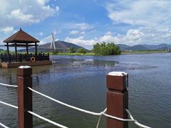 -芒洲湿地公园