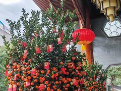 -佛山顺德香云纱园林酒店(清晖园店)