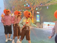 -青岛方特梦幻王国