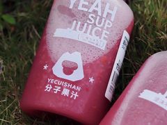 -野萃山·潮汕厚果汁(十亩地店)