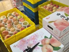 -老袁家蜜桃农场·阳山水蜜桃