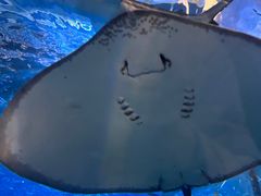 -太平洋海底世界