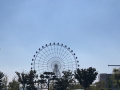 -琴岛之星摩天轮