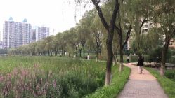 -伽美医疗美容医院·高端抗衰中心