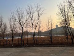 -永定河休闲森林公园