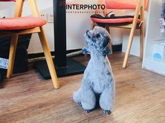 -日昌餐馆(亦庄店)