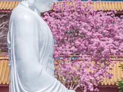 -天竺岩寺