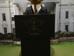 -济州岛泰迪熊博物馆