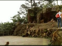 -广州市流溪河国家森林公园