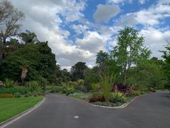 -墨尔本皇家植物园