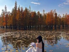 -白鹭湾湿地公园