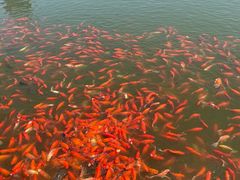 -西海子公园
