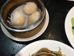 -糖朝(尖沙咀店)