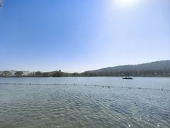 -西湖外事游船(花港观鱼码头)