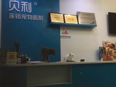 -贝利宠物医院·骨科·眼科·肿瘤转诊中心(南坪诊疗中心)