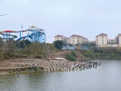 -乐和乐都动物主题乐园