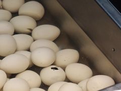 -养牛邓·潮汕牛肉海鲜自助火锅(广州店)
