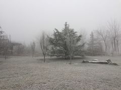 -南开大学滨海学院