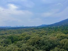 -灵谷景区