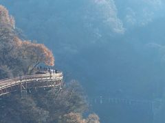 -少华山国家森林公园