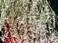 -艾加柒克蛋糕茶歇甜品台(春熙路店)