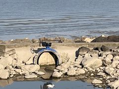 -上海吴淞炮台湾国家湿地公园