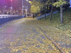 -百林公园-两江幸福广场