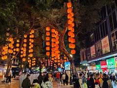 -越秀西湖花市(广州城市广场花卉店)
