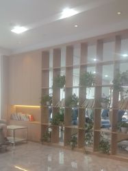 -碧莲盛·不剃发植发