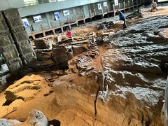 -自贡恐龙博物馆