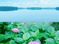 -东湖生态旅游风景区