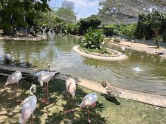 -吉隆坡雀鸟公园