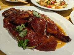 潮蓮燒鹅-大荣华酒楼(元朗老店)