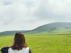 -御道口草原森林风景区