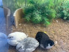 -万达广场(临港店)