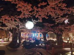 -蓝鲸湾汤泉(包河店)