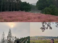 -嘉北郊野公园