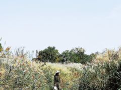 -良渚古城遗址公园