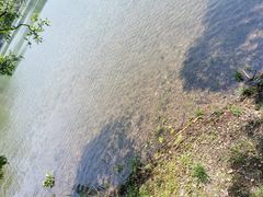 -紫霞湖公园